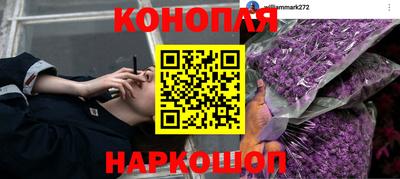круглые Краснознаменск