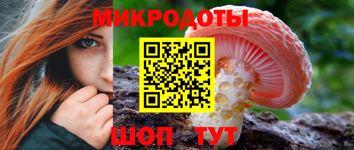 купить наркотики цена  Псилоцибиновые грибы MAGIC MUSHROOMS  Вход с VPN  Избербаш 