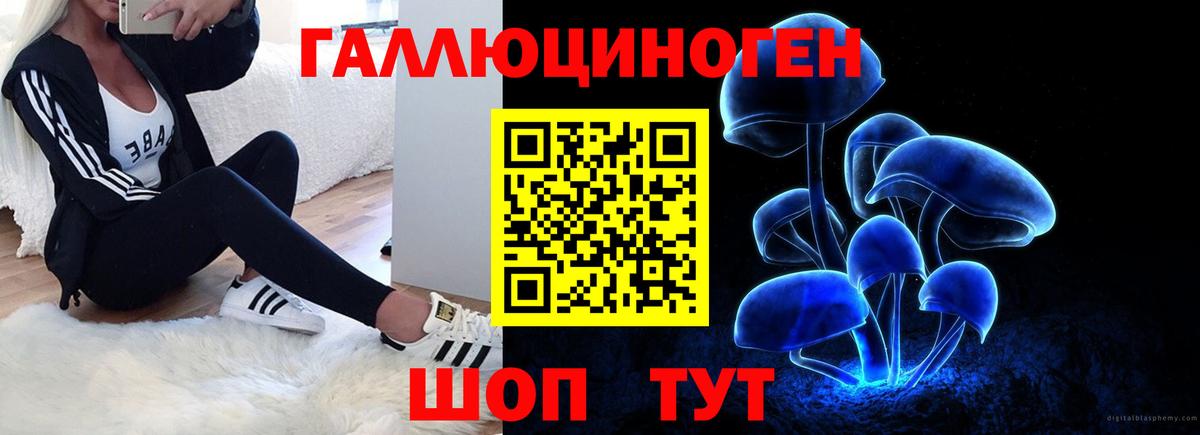 Псилоцибиновые грибы мухоморы Избербаш